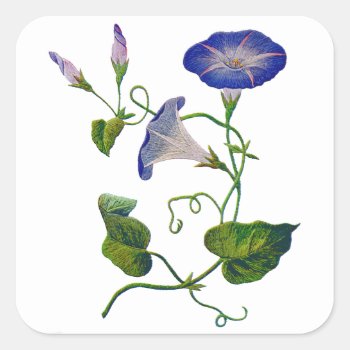 Embroidered Blue Morning Glories Square Sticker by Crewel_Embroidery at Zazzle