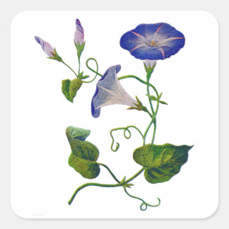 Embroidered Blue Morning Glories Square Sticker