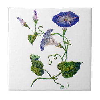 Embroidered Blue Morning Glories Tile by Crewel_Embroidery at Zazzle