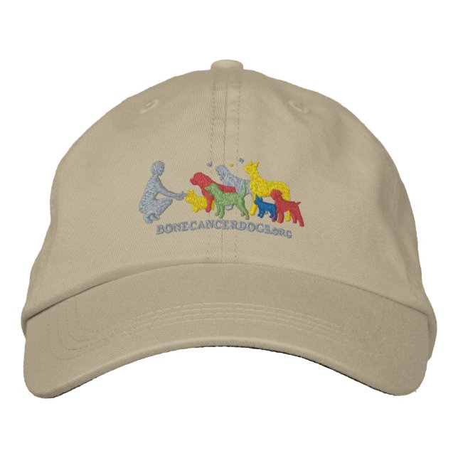Embroidered Color Logo Baseball Hat (Front)
