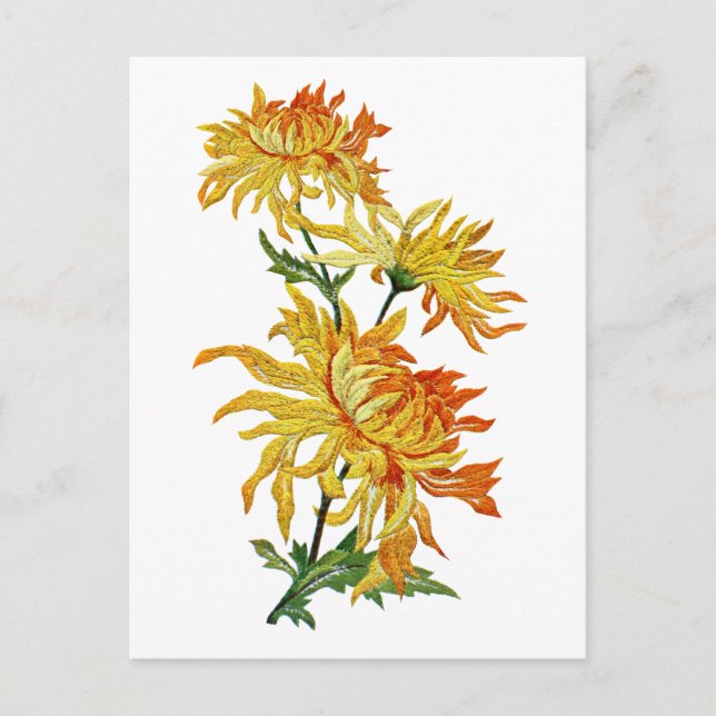 Embroidered Golden Chinese Chrysanthemum Postcard (Front)