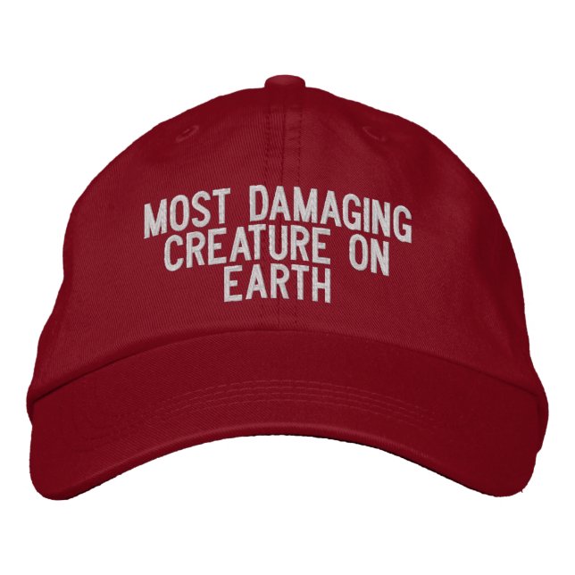 Embroidered Hat (Front)