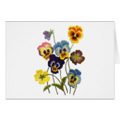 Embroidered Parade of Pansies (Front Horizontal)