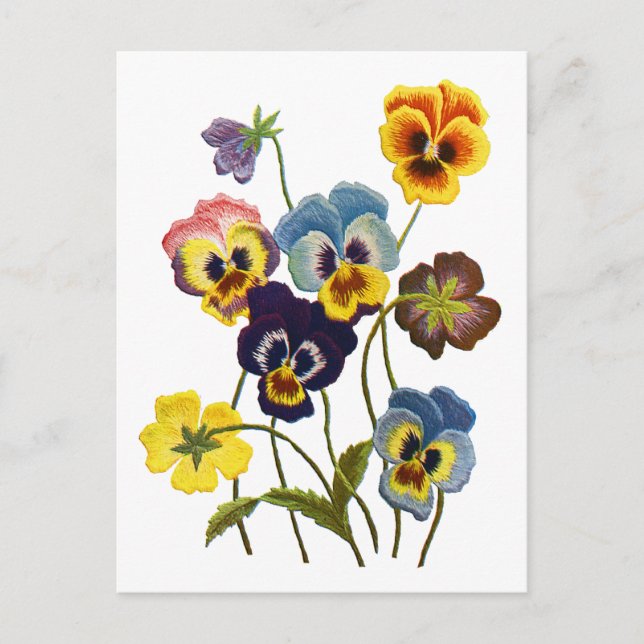 Embroidered Parade of Pansies Postcard (Front)