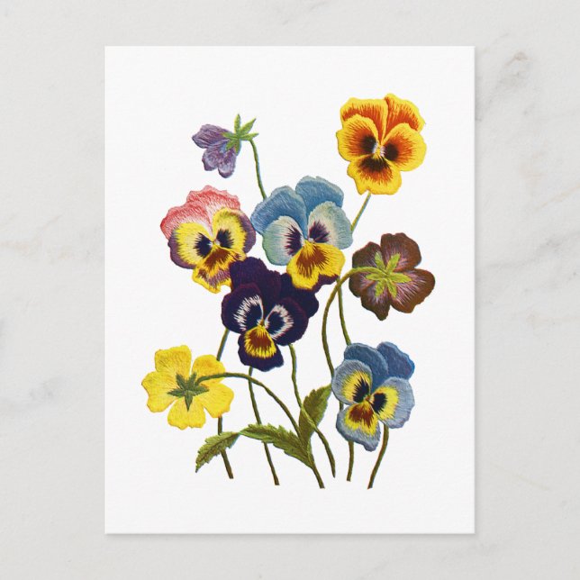 Embroidered Parade of Pansies Postcard (Front)