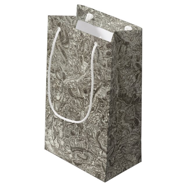 Embrun Small Gift Bag (Back Angled)