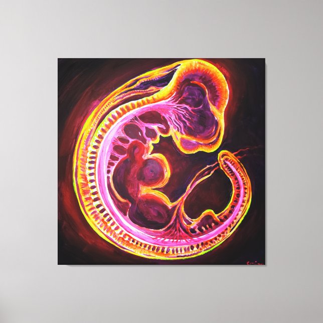 Embryo Canvas Print (Front)