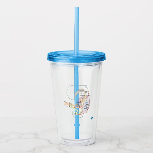 Embryology Tumbler with Lid + Straw (Front)