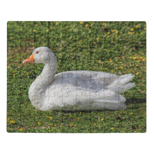 Emden Goose, Roath Park Lake, Cardiff, Wales. Jigsaw Puzzle