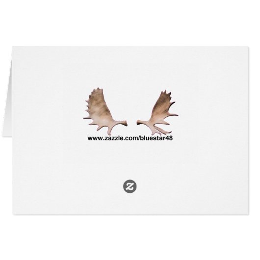 Emerald Alaska (Back Horizontal)