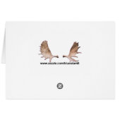 Emerald Alaska Cards (Back Horizontal)