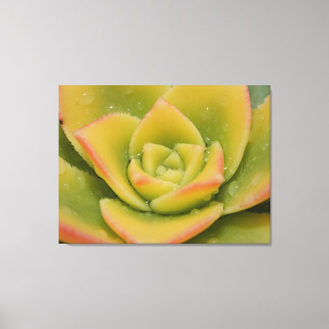 Emerald Bloom: Nature’s Liquid Jewel Canvas Print (Front)