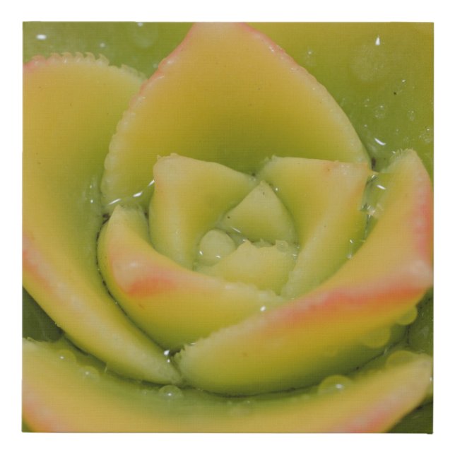 Emerald Bloom: Nature’s Liquid Jewel Faux Canvas Print (Front)