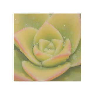 Emerald Bloom: Nature’s Liquid Jewel Gallery Wrap