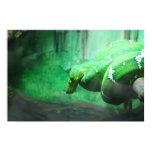 Emerald Boa Poster