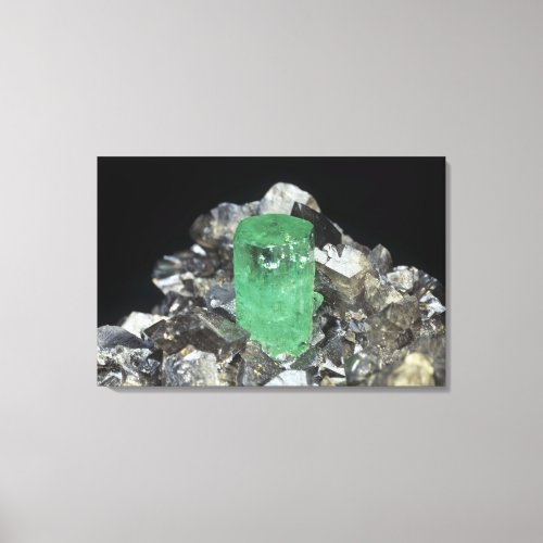 Emerald crystal in Calcite Colombia South Americ Canvas Print