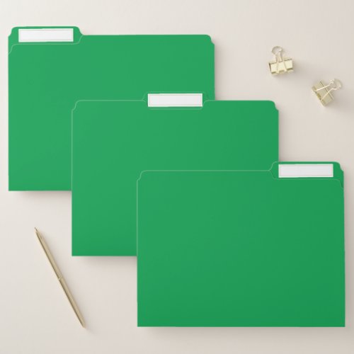 Emerald  green  file folder