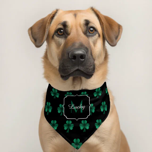 Emerald Green Sparkle Shamrock black Monogram Pet Bandana Collar | Zazzle