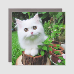 "Emerald Kitty: White Cat in Green Exposed Car Mag Magnet