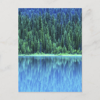 Emerald Lake, Yoho NP, BC, Canada Postcard