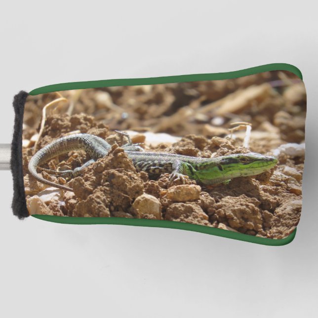 Emerald lizard Salamander in the earth      Golf Head Cover (Front)