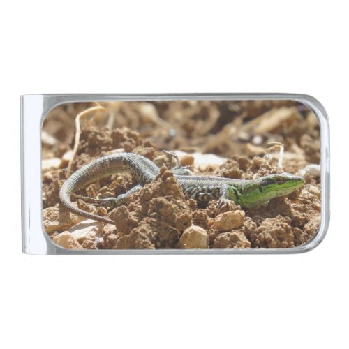 Emerald lizard Salamander in the earth       Silver Finish Money Clip