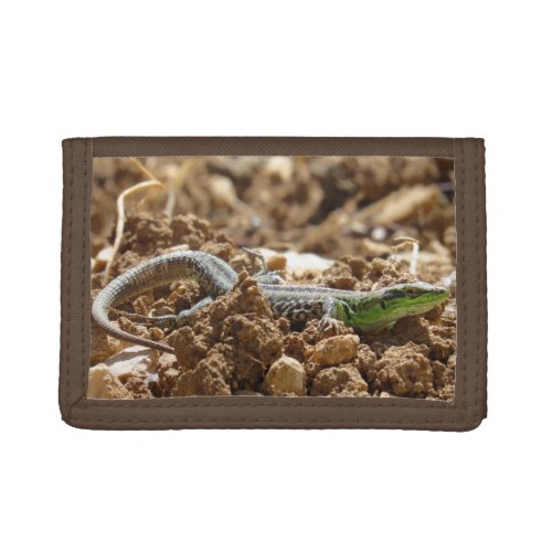 Emerald lizard Salamander in the earth      Trifold Wallet