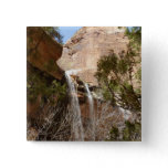 Emerald Pool Falls I from Zion National Park Button