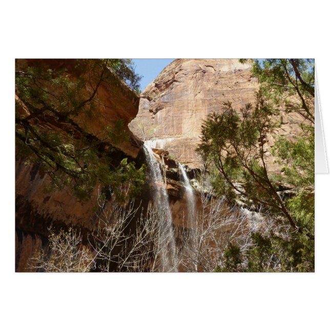 Emerald Pool Falls I from Zion National Park Cards (Front Horizontal)