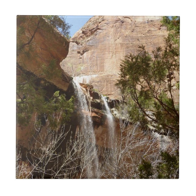 Emerald Pool Falls I from Zion National Park Ceramic Tile (Front)