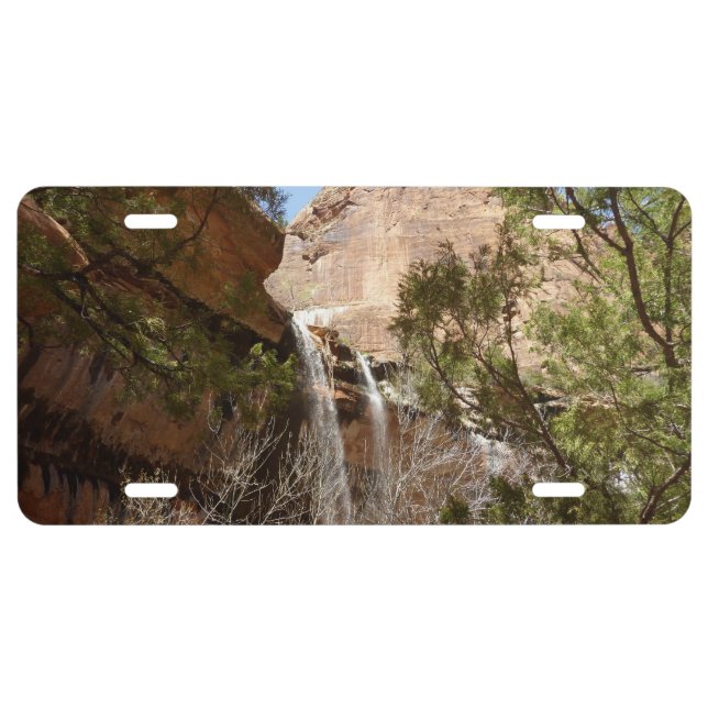 Emerald Pool Falls I from Zion National Park License Plate (Front)