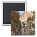 Emerald Pool Falls I from Zion National Park Magnet