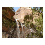 Emerald Pool Falls I from Zion National Park Photo Print