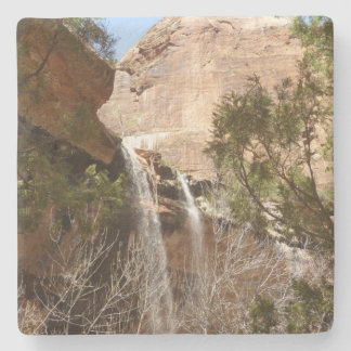 Emerald Pool Falls I from Zion National Park Stone Coaster
