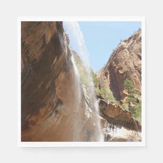 Emerald Pool Falls II from Zion National Park Napkins (Front)