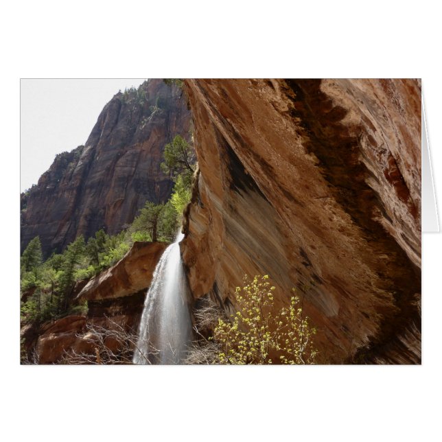 Emerald Pool Falls III from Zion National Park Cards (Front Horizontal)