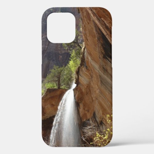 Emerald Pool Falls III from Zion National Park iPhone 12 Case