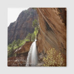 Emerald Pool Falls III from Zion National Park Magnet