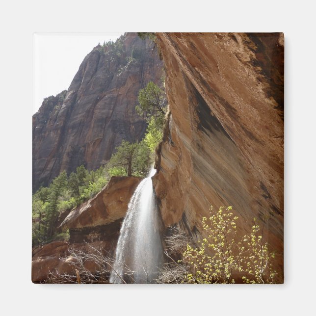 Emerald Pool Falls III from Zion National Park Magnet (Front)