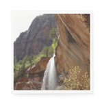 Emerald Pool Falls III from Zion National Park Napkins