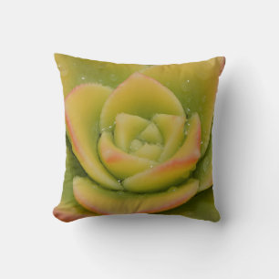 Emerald Succulent Photography Decor Modern Botanic Throw Pillow