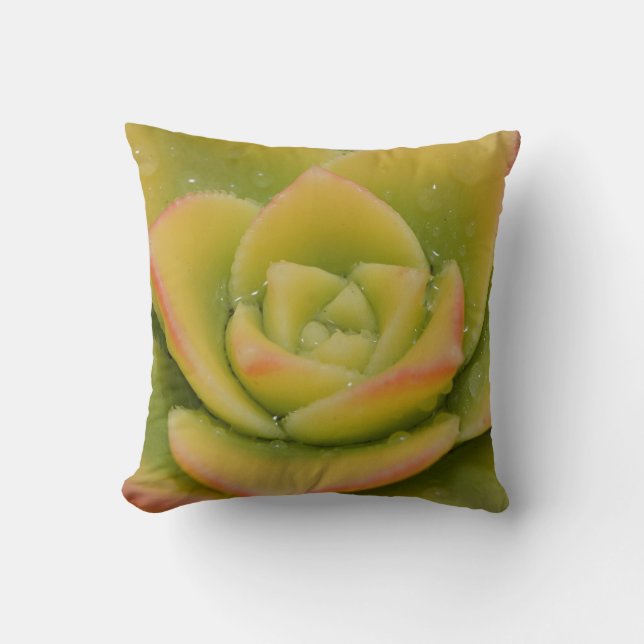 Emerald Succulent Photography Decor Modern Botanic Throw Pillow (Front)