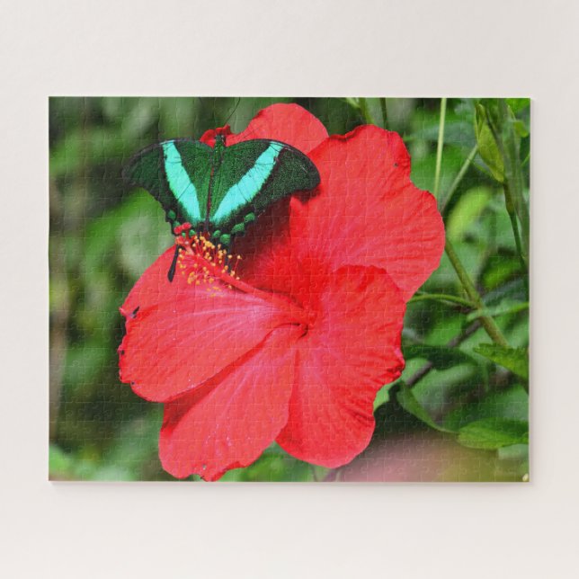 Emerald Swallowtail Butterfly. Jigsaw Puzzle (Horizontal)
