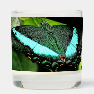 Emerald Swallowtail butterfly Scented Candle