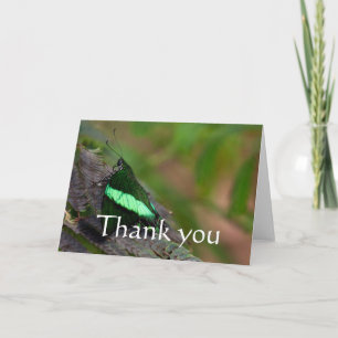 Emerald Swallowtail thank you