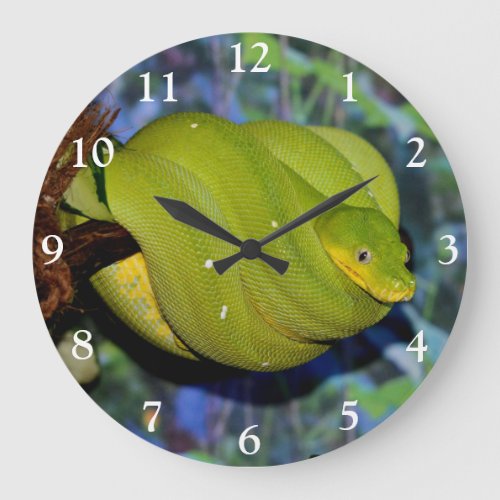 Emerald Tree Boa Snake Large Clock