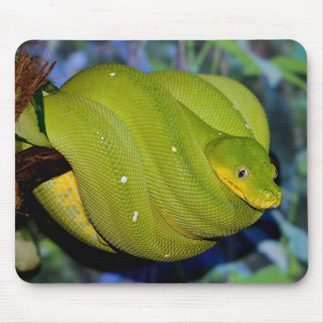 Emerald Tree Boa Snake Mouse Pad (Front)