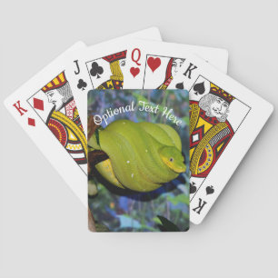 Emerald Tree Boa Snake Poker Cards