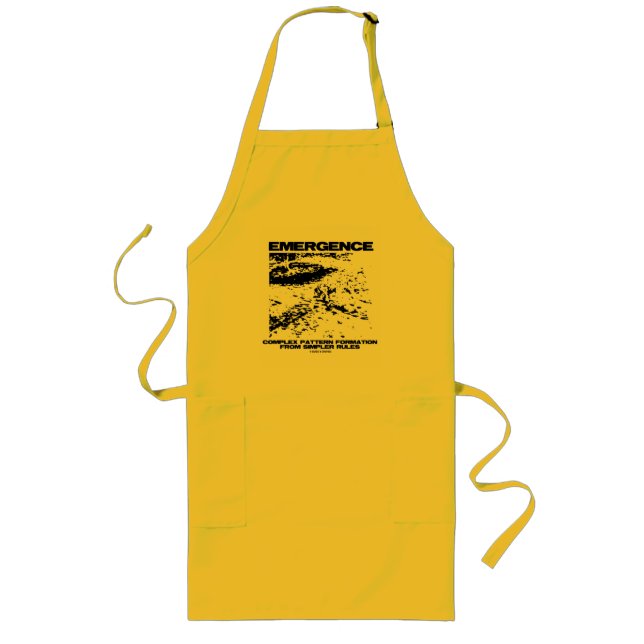 Emergence Complex Pattern Formation From Simpler Long Apron (Front)