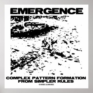Emergence Complex Pattern Formation From Simpler Poster